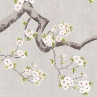 最新运程:2022年12月4日特吉生肖吉凶分析