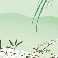 99年属兔佩戴什么运气最好 紫色是生肖兔幸运色