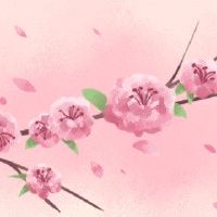 八七年炉中火那个方向桃花运最旺 正南方位旺桃花