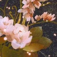 二手车店起名大全最新版 寓意好高端汽车店名字