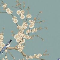 2013年属蛇的五行属性是什么 命里缺什么