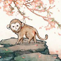 2022年农历八月生肖猴健康运势分析 提起精神及时检查