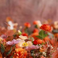 八月有三个星座即将好运来临事业越来越好