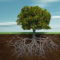 接下来的一个月将会有四个星座得到幸运女神的祝福