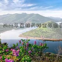 2022年,猴子天秤座的全年命运一年