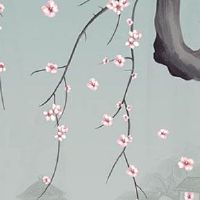 2023年兔年五行属什么 2023年兔年生宝宝好吗