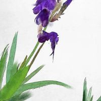 2022年七夕情人节送给妈妈什么? 包包或丝巾是首选