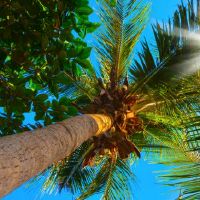 白羊座的性格 有朝气独立性强