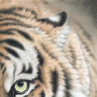 惊蛰出世的小孩好么是啥命?