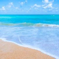 太阳天蝎月亮射手行事作风性格特点