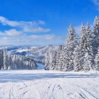 太阳狮子月亮水瓶性格特点 优缺点解析