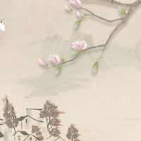 1968年属猴的幸运色是什么颜色 五行属金宜穿白银色衣物