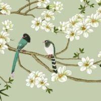 2023年兔年什么颜色最旺 属兔人吉祥色为橙色