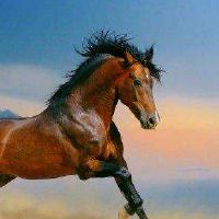 属马人2022年下半年运势及运程如何