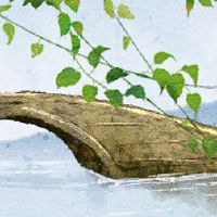 白蜡金命男和杨柳木命女 两极反转难以协调