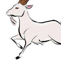 1955年属羊人2022年多少岁 2022年运势及运程解析