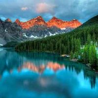 属鼠人2023年爱情运势如何