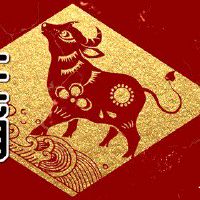 属牛人2022幸运数字和吉利手机号 好的数字带来运气提升