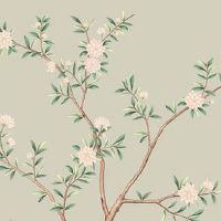 1992年属猴30岁以后命运如何 迎来二十年大运