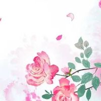 新开二手车名字洋气 高端时尚车行取名