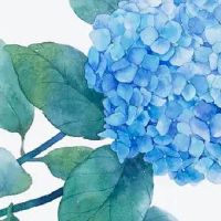 汽车销售店铺取什么名字好 高端洋气车行起名