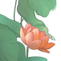 二手车店起什么名字好 洋气好听店铺名