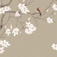 1992年猴宝宝几月出生最好 六月出生中年衣食丰足