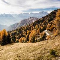 01年属蛇男和03年属羊女婚姻运如何