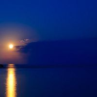 生肖牛在合作中要注意什么生肖的阻碍