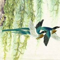 2022年11月15日出生最佳女宝宝名字鉴赏 女宝宝五行缺土的好名推荐