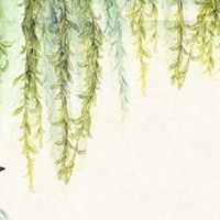 2022年11月16日出生的女宝宝名字合集 能给女孩五行补土的好名