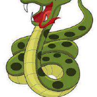 01年属蛇男和03年属羊女婚姻怎么样