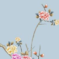 女86年属虎36岁有一灾 2022灾难当如何化解