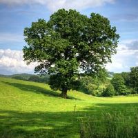 天秤座和什么星座是注定的星座婚配