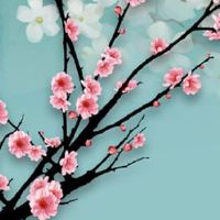 本命年什么都不顺 携带本命佛可化解不顺