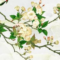 本命年4大禁忌 本命年犯太岁禁止结婚