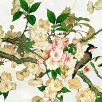 女人36岁本命年有啥讲究 注意事项解析