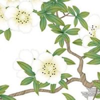 属鼠人2022年9月运势运程完整版 生肖鼠财富运势不理想