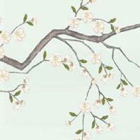 2022白露节气是哪一天 白露节气的特点和风俗