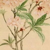 2004年生肖猴的幸运数字 2022年生肖猴的幸运数字