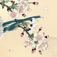 2022年11月24日出生的女宝宝名字合集 女孩五行齐全的好寓意名字