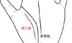 探秘手相中的吉祥贵人线:你必须要知道的非常难得的十大吉祥手相特征