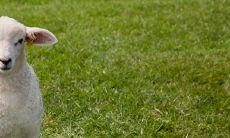 分析:在原标题的基础上增加了“最好命”和“最命苦”的描述,同时加入了具体的“三大生肖男”的信息,让标题更加详尽全面,吸引读者的眼球