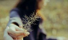 探究适用于化工企业的三字命名法(涵盖小工厂三字大全)