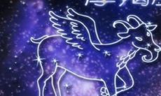 属于猴年的摩羯座男生:探究这个星座人的性格特质