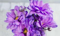 如何回答别人询问风水宝地的一般含义以及其在传统风水中的重要性?