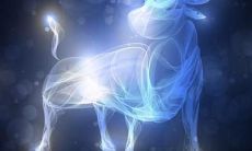 双子座迷恋的星座:揭示双子座最容易暗恋的三大星座