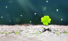 当人陷入低谷时,如何转运自身运势以实现心愿?(How to Change One's Fortune When in a Downturn and Achieve One's Desires?)