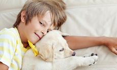 五行缺木的人应该选择哪些颜色来适应自己的命格呢?(探讨命格缺木者应该选择哪些颜色来补足五行不足之处)