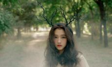 探讨最聪明星座及其孤独男性的真实心态